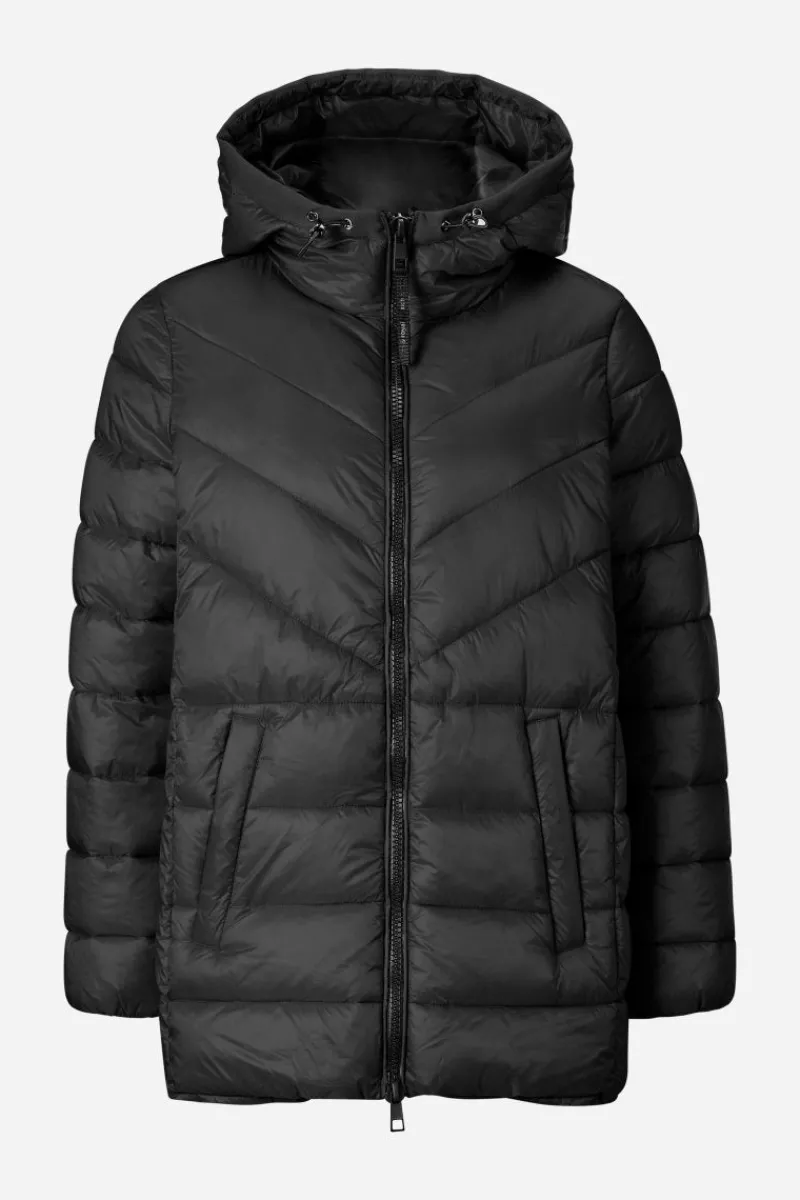 Glänzende Steppjacke<Rich & Royal Outlet