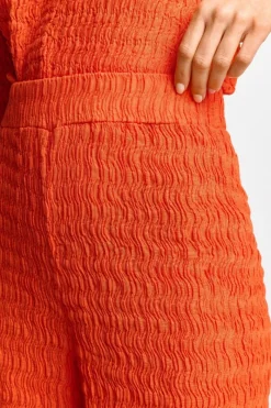 Hose<Rich & Royal Best